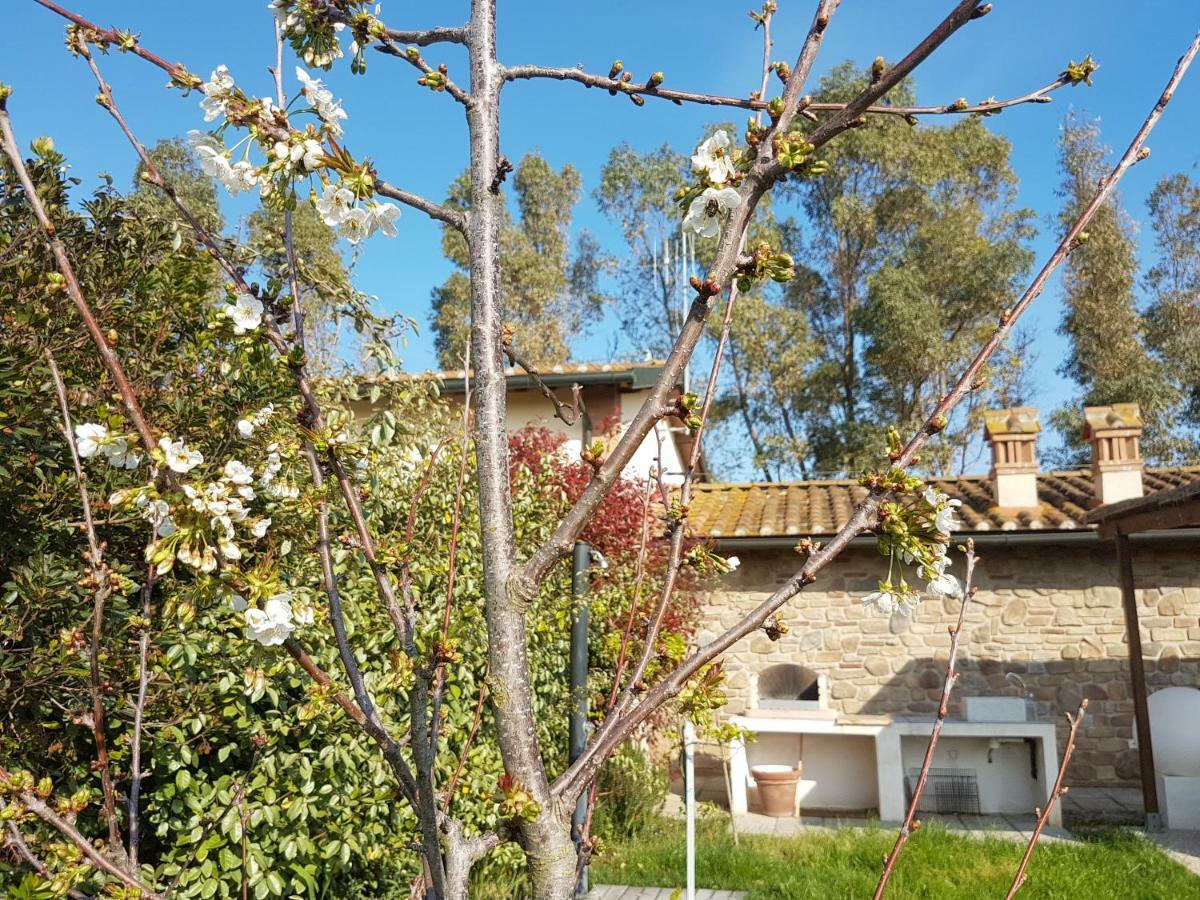 Villa Villino Il Paduletto Casa Paduletto Exterior foto